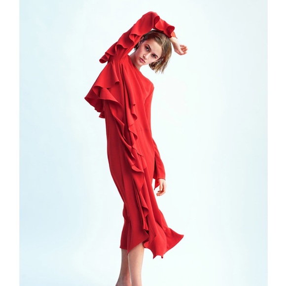 SOLD/// Zara ruffled midi dress - Picture 4 of 5